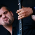VreidBandname_7020rockharz11j