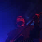 Lam_immortelle-15