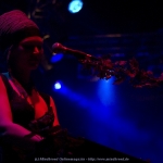 Faun