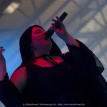 CRW_8115