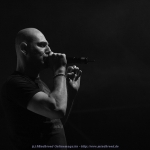 IMG_8147