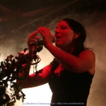 Faun007