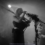 Faun013