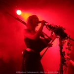 Faun014