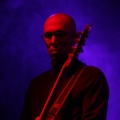 Iris_11_NCN-2010