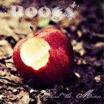 Rooga: Prelistening zu Album “Behind The Mirrors”