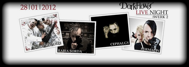 4 Bands beim 1. Darkflower Live Night am 28.01.2012