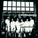 haifisch-single-249x224