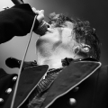 ProjectPitchfork_16_ZitaRock-2011