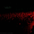 FiddlersGreenBandname_8236rockharz11j