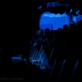 formalin_46_darkflowernight2012