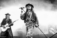 Fields of the Nephilim @ Amphi Festival 2013