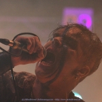 IMG_1632_kl