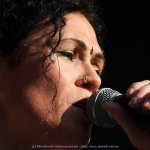 IMG_3334_kl