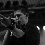 IMG_8979