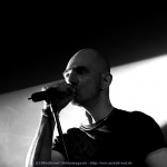 IMG_7986