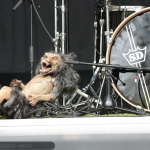 Gothminister-Hexentanz_2016-06