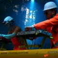 Patenbrigade-Wolff_01_NCN-2010