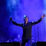 Suede-Tinderbox-160625-8