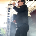 zin_09_amphi-festival-2010