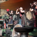 corvus_corax-feuertal_2015-11