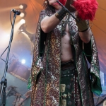 corvus_corax-feuertal_2015-12