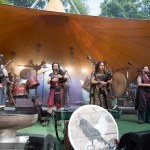 corvus_corax-feuertal_2015-6