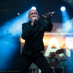 DAF - M'era Luna 2014