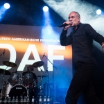 DAF - M\'era Luna 2014