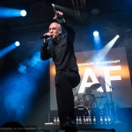 DAF - M\'era Luna 2014