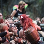 Feuerschwanz - Feuertal Festival 2014