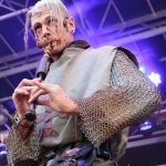 heimataerde-burgfolk_2015-9