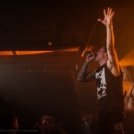 141121_Helhorse_5249_Helhorse_MB