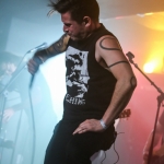 141121_Helhorse_5425_Helhorse_MB