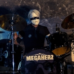 Megaherz-Herzblut_2016-04