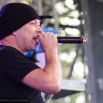 MESH - Amphi Festival 2014
