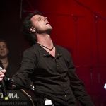 Mystigma-Herzblut_2016-03