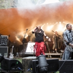 Tanzwut - Feuertal Festival 2014