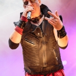 Tanzwut - Feuertal Festival 2014