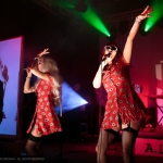 Welle:Erdball - NCN 2014