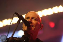 230211_StoreVega_1980_Accept_mb