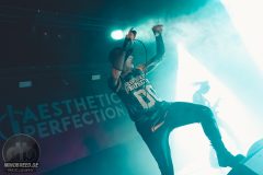 Aesthetic Perfection - Amphi 2024