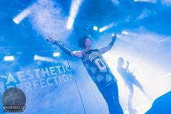 Aesthetic Perfection - Amphi 2024