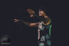 Aesthetic Perfection - Amphi 2024