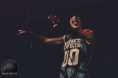 Aesthetic Perfection - Amphi 2024