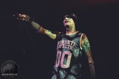 Aesthetic Perfection - Amphi 2024