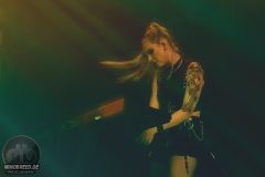 Aesthetic Perfection - Amphi 2024