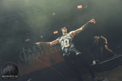 Aesthetic Perfection - Amphi 2024