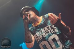 Aesthetic Perfection - Amphi 2024