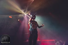 Aesthetic Perfection - Amphi 2024